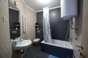 Mountain apartments Zlatibor